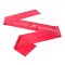 Fascia Rehab Medic Lattice per esercizi 1,5m (elasticità media)