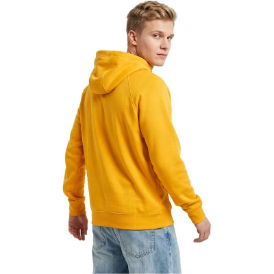 Felpa Team Club 20 Hoodie Donna