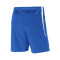 Pantaloncini Nike Venom III Woven