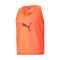 Casacca Puma teamLIGA