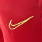 Pantaloni  Nike Academy 21 Knit