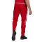 Pantaloni  adidas Ajax Amsterdam Training 2021-2022