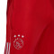 Pantaloni  adidas Ajax Amsterdam Training 2021-2022