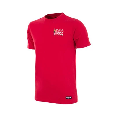 Maglia Denmark 1992 European Champions