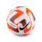 Pallone Nike Flight