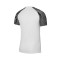 Maglia Nike Dri-Fit Academy m/c