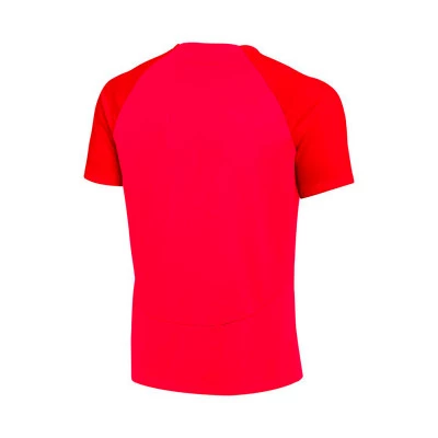 Maglia Academy Pro 22 m/c