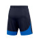 Pantaloncini Nike Academy Pro 22