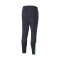Pantaloni  Puma IndividualFINAL Training