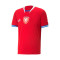 Maglietta Puma Repubblica Ceca Primo Kit World Cup 2022