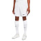 Pantaloncini Nike Liverpool FC Away Stadium 2022-2023