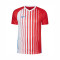 Maglietta Nike Striped SMU II m/c