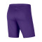 Pantaloncini Nike Park III Knit