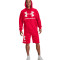 Felpa Under Armour UA Rival Fleece Big Logo Hoodie