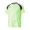Maglia Puma TeamLIGA Graphic