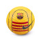 Pallone Nike FC Barcelona 2024-2025