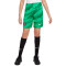 Pantaloncini Nike Paris Saint-Germain FC Prima Divisa Portiere 2023-2024 Bambino