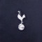 Pantaloni  Nike Tottenham Training 2023-2024