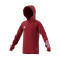 Felpa adidas Tiro 23 Competition Hoodie Niño
