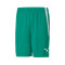 Pantaloncini Puma teamLIGA