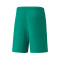 Pantaloncini Puma teamLIGA