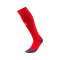 Calzettoni Puma teamLIGA