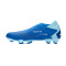 Scarpe adidas Predator Accuracy.3 LL FG