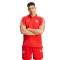 Polo adidas FC Bayern Monaco Fanswear 2023-2024