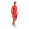 Polo adidas FC Bayern Monaco Fanswear 2023-2024