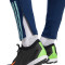 Pantaloni  adidas Ajax Training 2023-2024