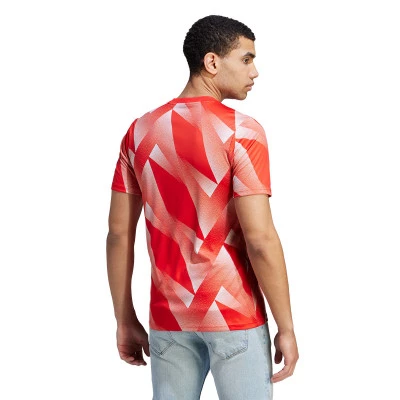 Maglia FC Bayern Monaco Pre-Match 2023-2024