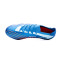 Scarpe adidas Predator Accuracy.1 Low AG