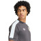 Maglietta adidas Argentina Fanswear 2023-2024