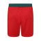 Pantaloncini Castore Wolverhampton Wanderers Seconda Divisa 2023-2024