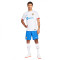 Maglia Nike FC Barcelona Away Kit Authentic 2023-2024