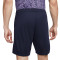 Pantaloncini Nike Tottenham Seconda Divisa 2023-2024