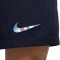 Pantaloncini Nike Tottenham Seconda Divisa 2023-2024