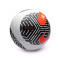 Pallone Nike Academy
