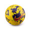 Pallone Nike Flight Premier League 2023-2024