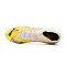 Scarpe Puma Future Pro FG/AG