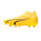 Scarpe Puma Ultra Pro FG/AG