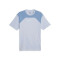 Maglietta Puma Manchester City Fanswear 2023-2024