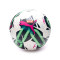 Pallone Puma Ufficiale Primeira Liga 2023-2024