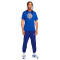 Maglietta Nike Chelsea FC Fanswear 2023-2024