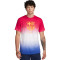 Maglietta Nike FC Barcelona Fanswear 2023-2024