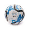 Pallone Nike Collezione Premier League 2023-2024
