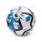 Pallone Nike Collezione Premier League 2023-2024