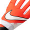 Guanti Nike Match