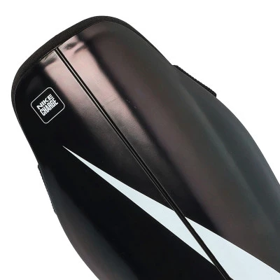 Parastinchi Charge Guard