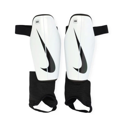 Parastinchi Charge Guard